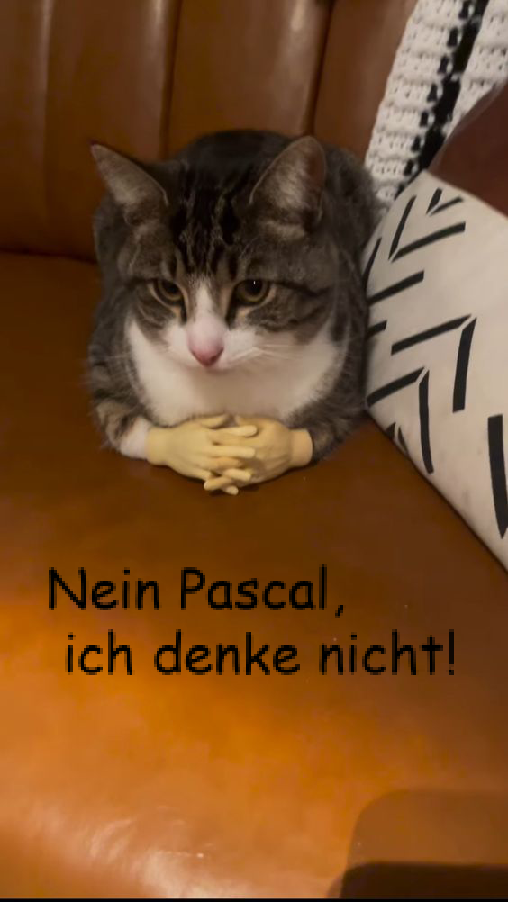 Nein Pascal